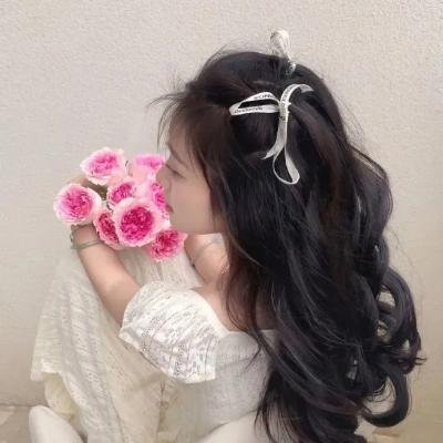 疾走王子